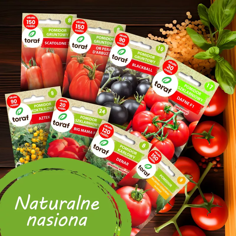 Toraf Tomato Seed Set Eden - 8 Packs