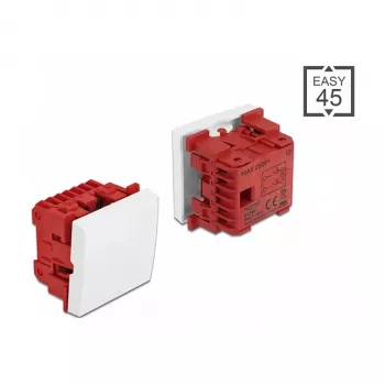 Pushbutton switch DELOCK Easy 45 2P 250V 10A White, 45×45×37 mm