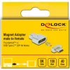 DeLOCK - Thunderbolt / USB-C adapter - USB-C (M) magnetic to USB-C (W) - USB 3,2 Gen 2 / Thunderbolt 3 4,5 A - 8K Support - Silver (66433)