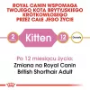 Dry Cat Food Royal Canin British Shorthair Kitten 2 kg – chicken, 38% protein, 20% fat, growth formula