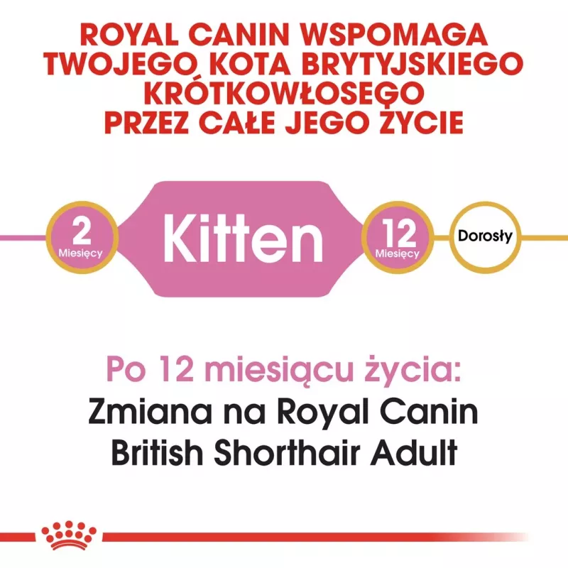 Dry Cat Food Royal Canin British Shorthair Kitten 2 kg – chicken, 38% protein, 20% fat, growth formula