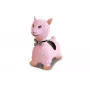 Inflatable Toy Jamara 460543
