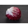 Lettuce Chicory Palla Rossa 3 Toraf Vegetable Seeds, 5g Package