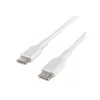 USB Cable Belkin BoostCharge 1m USB C White USB 2.0