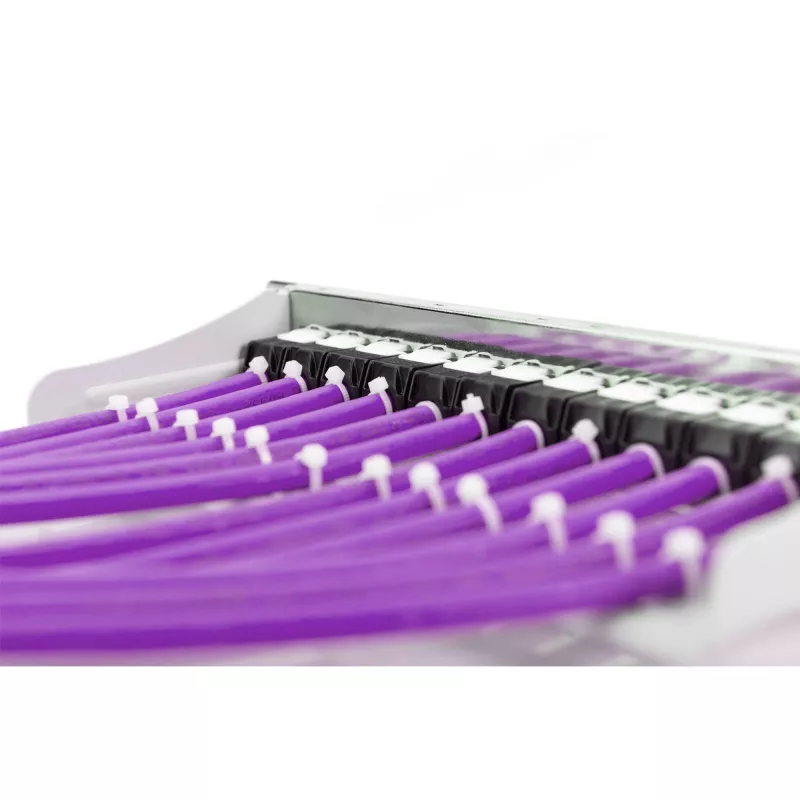 Network Cable Digitus Cat.6 U/UTP 305m Violet