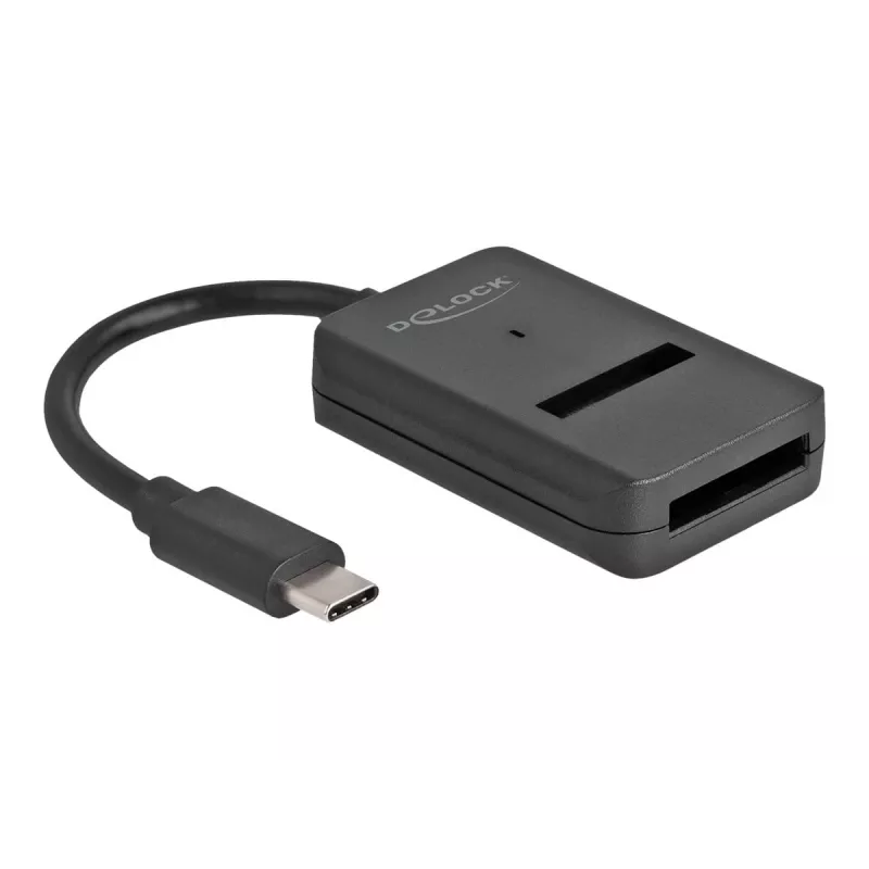 DeLOCK Combo Converter for M.2 NVMe PCIe SATA SSD USB Type-C 10 Gbps