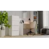 ALMA WHITE CHEST OF DRAWERS