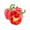Seed packet Seklos LT Paprika Jolanta 0.5 g – sweet pepper seeds for cultivation