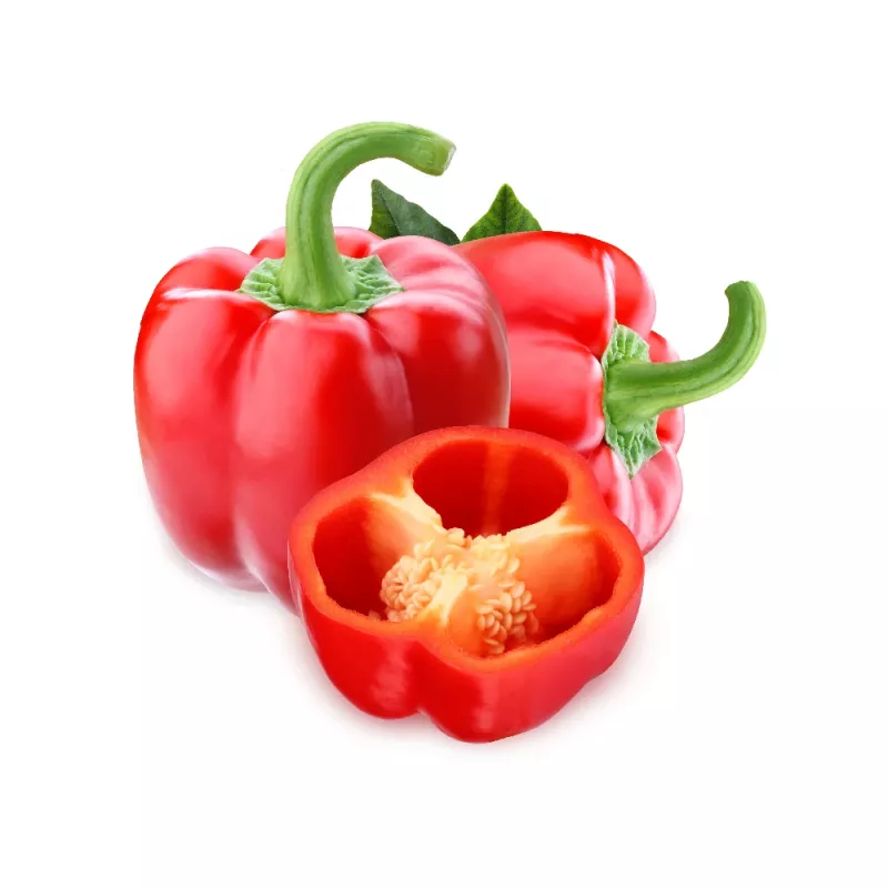 Seed packet Seklos LT Paprika Jolanta 0.5 g – sweet pepper seeds for cultivation