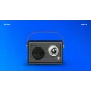 Portable Radio Savio RS-01 Analog Black