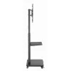 Gembird TVS-75S-02 TV floor stand with caster wheels, 37 - 75, black