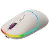 CANYON Mouse MW-22 2-in-1 BT/Wireless Rice