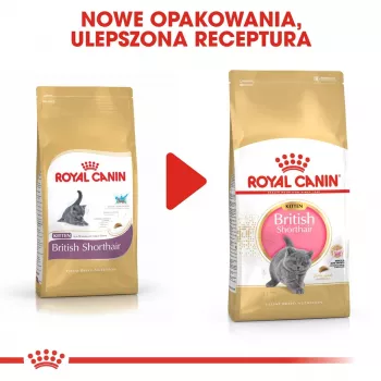 Dry Cat Food Royal Canin British Shorthair Kitten 2 kg – chicken, 38% protein, 20% fat, growth formula