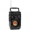 Squeak Bassblaster Bluetooth 5.1 Speaker, Fm Radio, Mp3 Player Sq1001