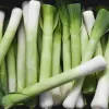 Seeds Seklos LT Leek Starozagorski Kamień — vegetable seeds, packet 1 g