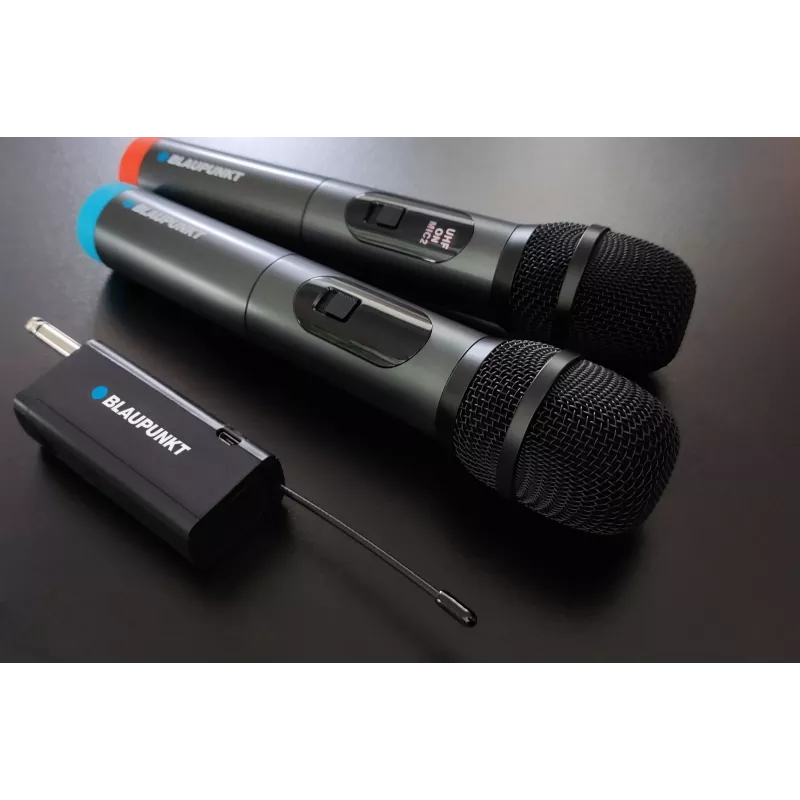 Microphone Blaupunkt WM60UDB