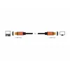 HDMI cable DeLOCK 85729 2 m HDMI Type A Standard Black Gold