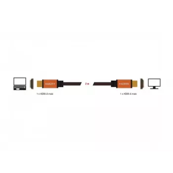 HDMI cable DeLOCK 85729 2 m HDMI Type A Standard Black Gold