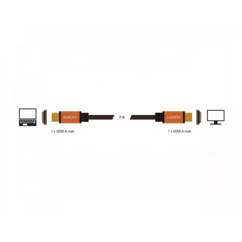 HDMI cable DeLOCK 85729 2 m HDMI Type A Standard Black Gold