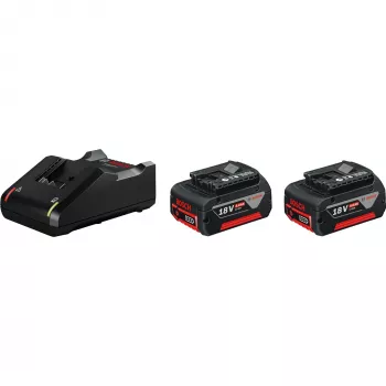 Bosch 1 600 A01 9S0 cordless tool battery / charger Battery & charger set