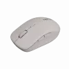 Canyon Mouse MW-12 Dual band Wireless Beige - Mouse - 2.400 dpi (CNS-CMSW12BG)