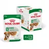 Wet dog food Royal Canin Mini Ageing 12+ Adult sachet 85 g — small breeds, poultry, senior