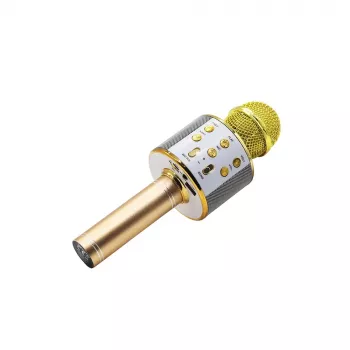 Microphone MANTA MIC10-G Gold cardioid portable — cardioid condenser, handheld design