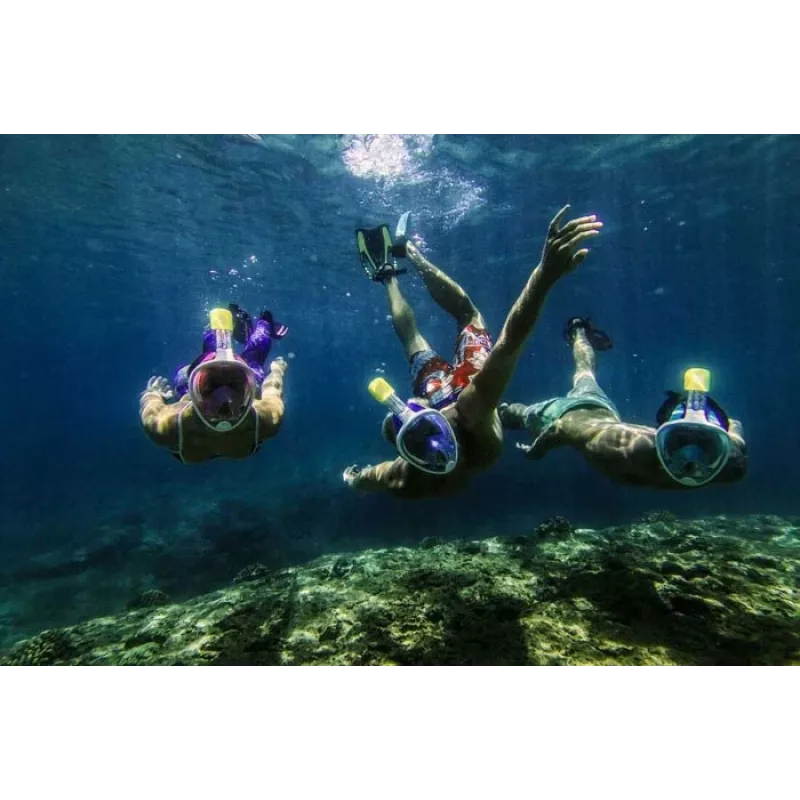 Snorkeling Mask Free Breath M2068G L/XL — full-face snorkel mask, size L/XL, black