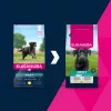 Dry Dog Food EUKANUBA Adult Large Chicken 15 kg — adult large-breed complete dry food, chicken, 15 kg