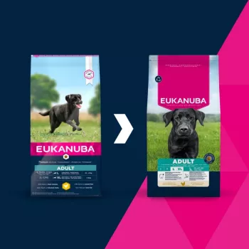 Dry Dog Food EUKANUBA Adult Large Chicken 15 kg — adult large-breed complete dry food, chicken, 15 kg