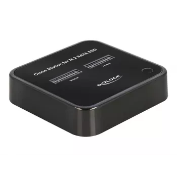 DeLOCK 64178 Docking Station USB 3.2 Gen 2 Type-C SSD M.2