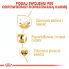 Royal Canin Cocker Adult Dry Dog Food 12 kg