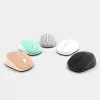 Mouse Inca IWM-243RG RF Wireless Optical Ambidextrous