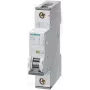Siemens Miniature Circuit Breaker 2 A 1-pin C (5SY4102-7)