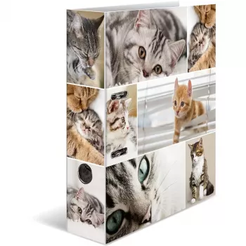 Ring binder HERMA 7166 Multicolour