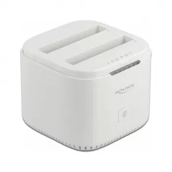 Docking Station DeLOCK USB Type-C™ 3.2 for 2 x 2.5 inch SATA HDD/SSD