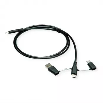 ROLINE USB 2.0 cable type C ST/ST with data blocking adapters A and C - Cable - Digital/Data