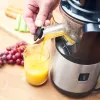 Slow juicer Gastroback Advanced Vital 40145 Black Stainless steel