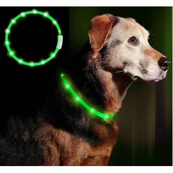 LED collar Anicoll Green for dogs and cats Model rechargeable lighting