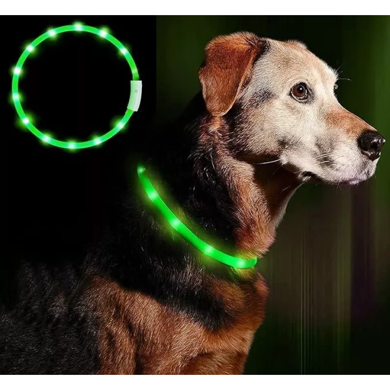 LED collar Anicoll Green for dogs and cats Model rechargeable lighting