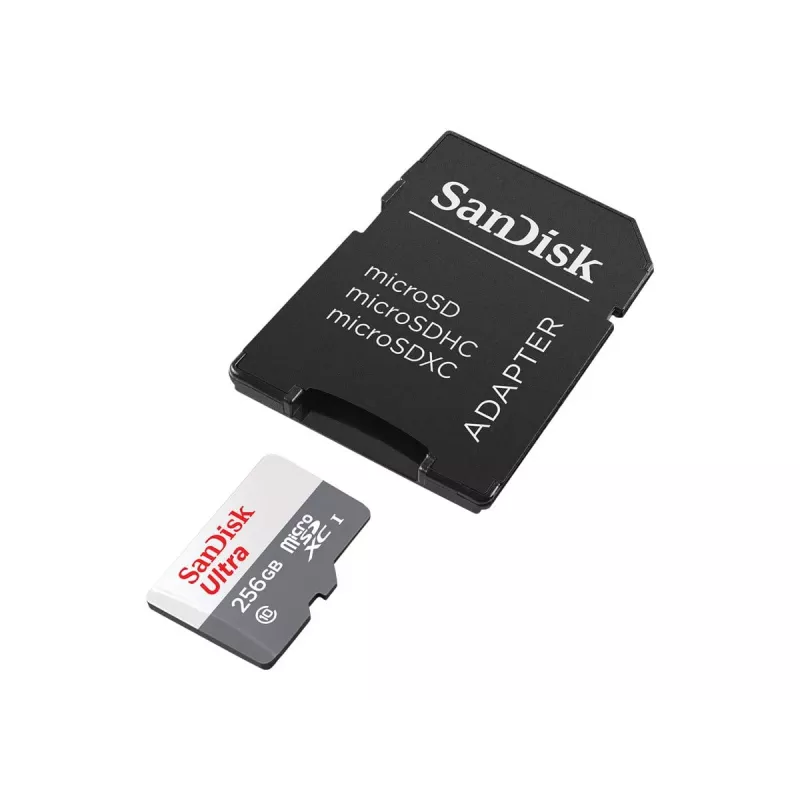 Flash memory SanDisk 256 GB MicroSDXC UHS-I SDSQUNR-256G-GN6TA