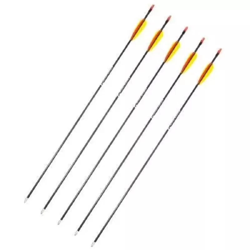 Arrow set POE LANG D-055-B3 — fibreglass arrows, 28 in (710 mm), black, set of 5