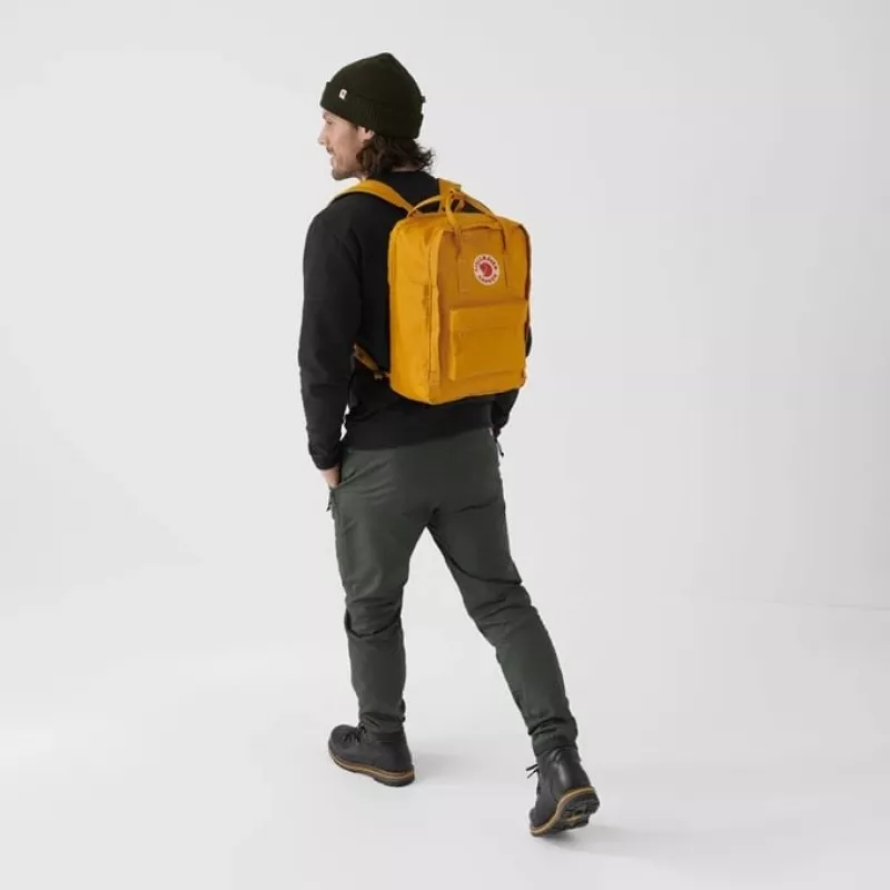 FjÄllrÄven 0001447400018407