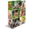 HERMA 19252 ring binder A4 Multicolour D-ring Storage