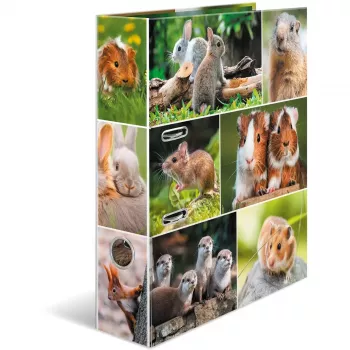 HERMA 19252 ring binder A4 Multicolour D-ring Storage