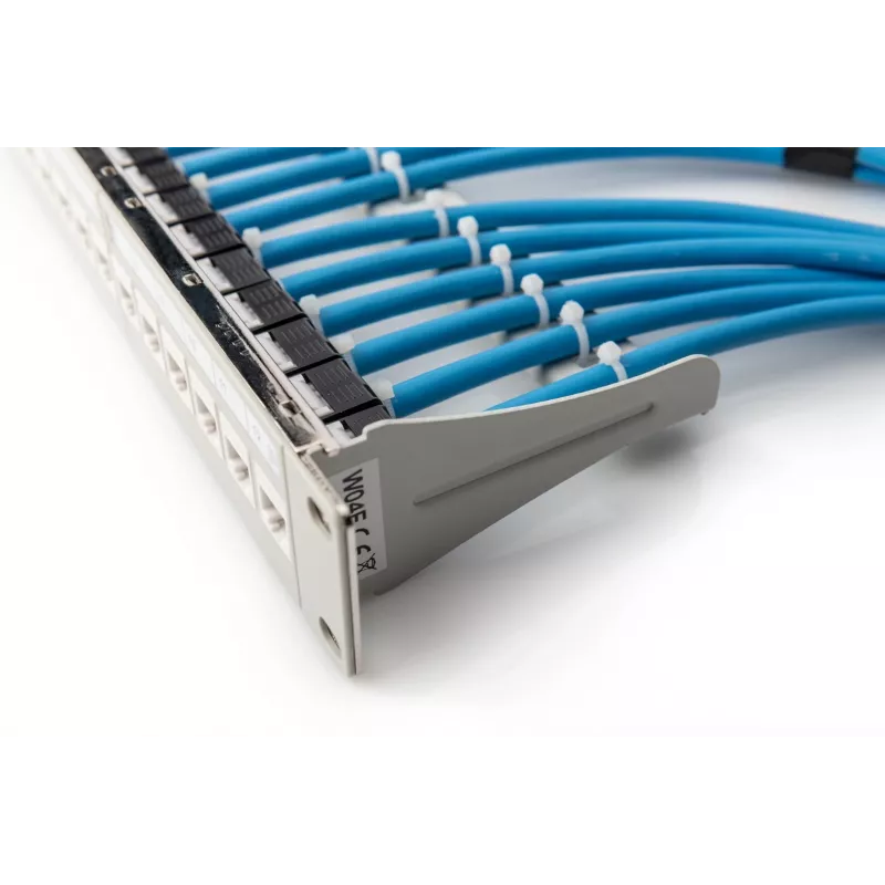Networking Cable Digitus DK-1624-A-VH-1 RJ45 Cat6a 100m Blue