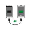 USB cable DeLOCK 83570 USB 2.0 0.3 m USB B Black
