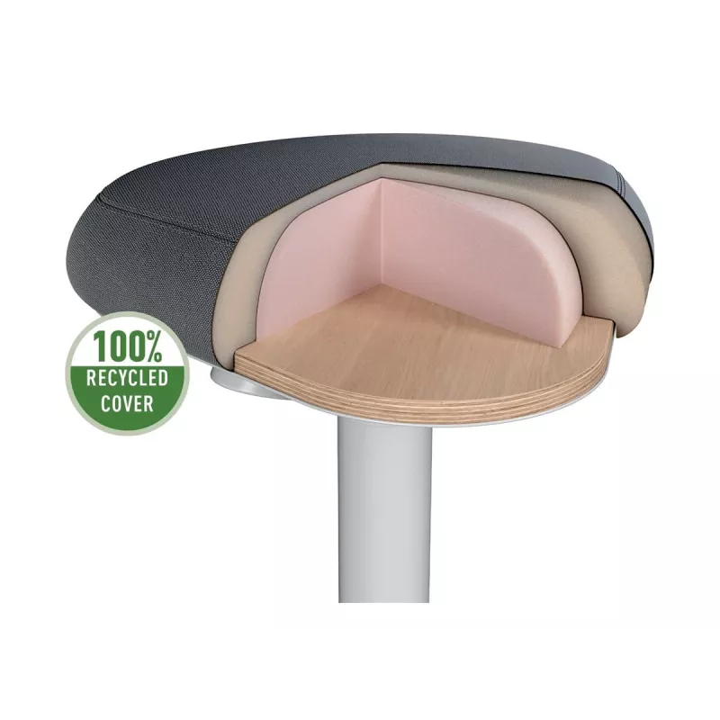 Office chair Leitz 65440085 Padded seat Grey Plastic frame