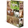 Ring Binder HERMA 19253 A4 Multicolour Cardboard 285x315 mm