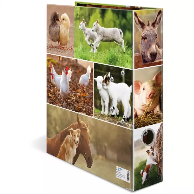 Ring Binder HERMA 19253 A4 Multicolour Cardboard 285x315 mm